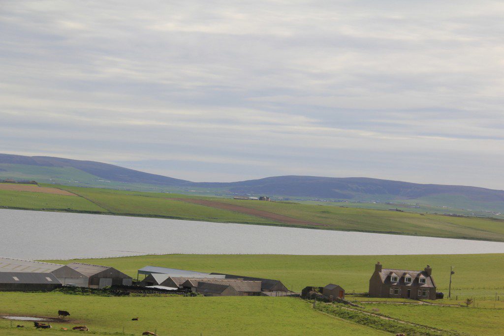 Skotland Orkney 03-06-2013 09-34-32