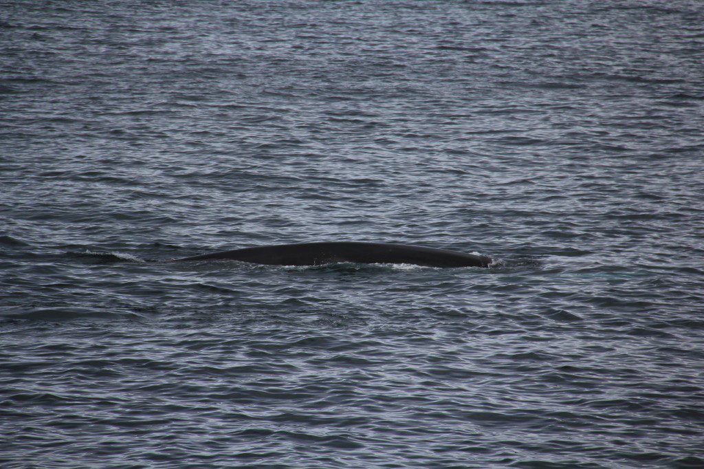 Svalbard 20140701-213624